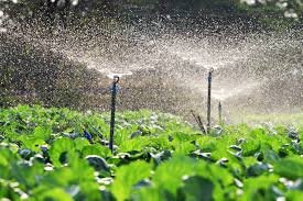 Irrigation Sprinkler